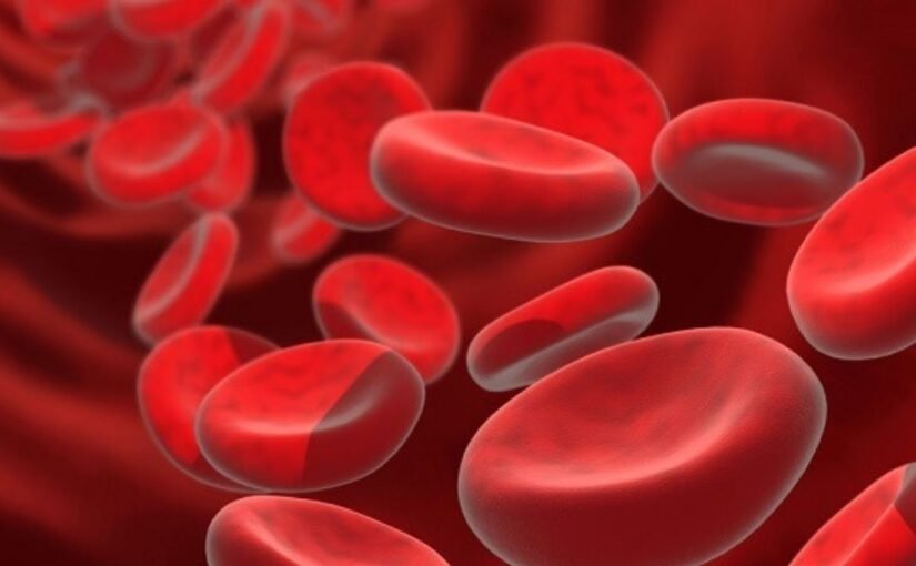 Anemia pada Penyakit Ginjal Kronis: Waspadai Gejala dan Penanganan yang Tepat